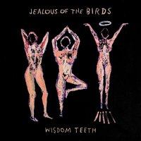 Marrow - Jealous Of The Birds