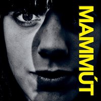 Dýradóttir - Mammút