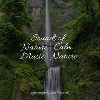 Lullaby - Nature Sound Collection, Schlaflieder Für Kinder, Trouble Sleeping Music Universe