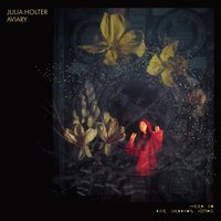 I Would Rather See - Julia Holter