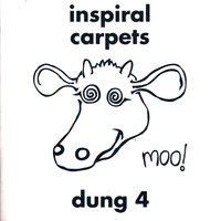 Butterfly - Inspiral Carpets