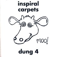 Keep the Circle Around - Inspiral Carpets