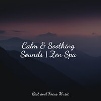 Keeping It Calm - Meditation Zen, Massagem Coleção de Músicas, Nature Sounds Nature Music