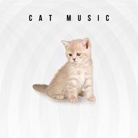 Kitty Music - Music For Cats