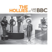 Something's Got a Hold On Me - The Hollies