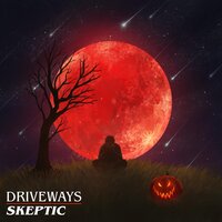 Skeptic - Driveways
