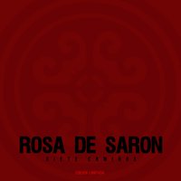 No Matter What - Rosa de Saron