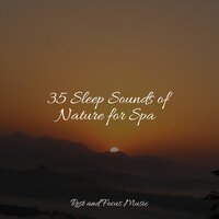 Water - Best Relaxing Spa Music, Alpha Waves, Lullabies for Deep Meditation
