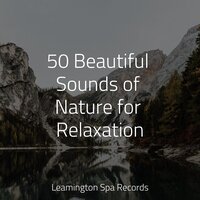 Calming Breeze - Nature Sound Collection, Schlaflieder Für Kinder, Trouble Sleeping Music Universe