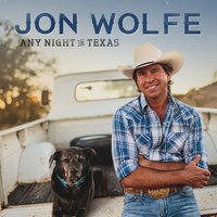 That's What a Song Will Do - Jon Wolfe