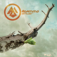 Amber - Ádammo