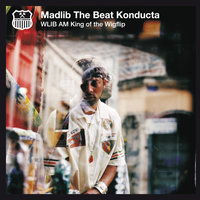 The Plan Pt. 1 - Madlib