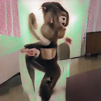 Dance Monkey - Andrew VanWyngarden