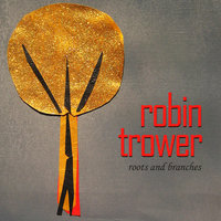 Little Red Rooster - Robin Trower