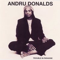 Stop the Pain - Andru Donalds