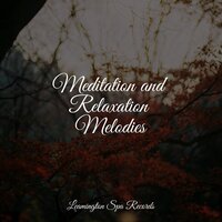 Deep Sleep - Oasis of Meditation, Massage Music, Internal Yoga