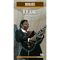 Dust My Broom - B.B. King