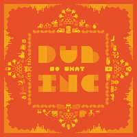 Love Is the Meaning - Dub Inc