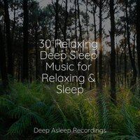 Spa Music - Guided Meditation, Massagem, Regengeräusche