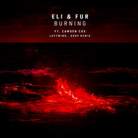 Burning - Eli & Fur, Camden Cox, Leftwing : Kody