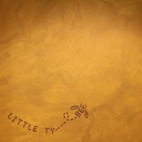 Holding Stones - Little Tybee