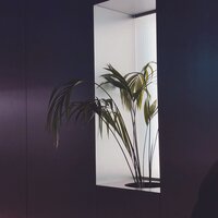 Дурман - Dan Korshunov