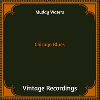 What's The Matter With The Mill - Muddy Waters
