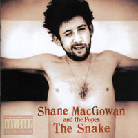 The Snake With Eyes Of Garnet - Shane MacGowan, The Popes