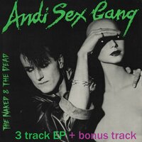 You Don't Know Me - Andi Sex Gang