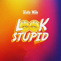 Look Stupid - Shatta Wale