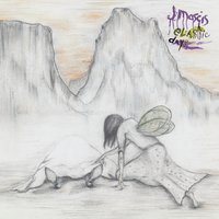 Picking Out The Seeds - J Mascis