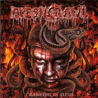 Disfigured - Fleshcrawl