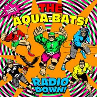 Best Day Of My Life! - The Aquabats