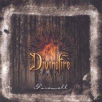 My Roots Are Strong in You - Divinefire