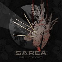 The Catch 22 - Sarea