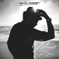 Meant to Be - David Correy