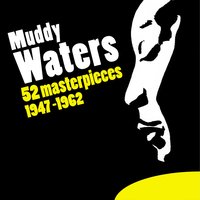 I Can't Be Satisfed - Muddy Waters