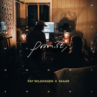 promise, - Skaar, Fay Wildhagen