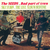 Bad Part of Town - The Seeds