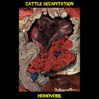 Open Human Head Experiments with Bleach Laquer and Epoxy - Cattle Decapitation