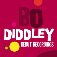 Hey' Bo Diddley - Bo Diddley