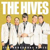 See Through Head - The Hives
