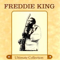 My Feeling for the Blues - Freddie  King