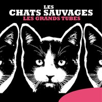 C'est le jour "j" - Les Chats Sauvages