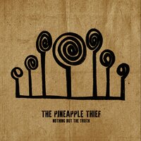 The Swell - The Pineapple Thief