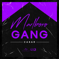 Marlboro Gang - Casar