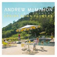 Monday Flowers - Andrew McMahon in the Wilderness