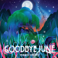 Oh No - Goodbye June