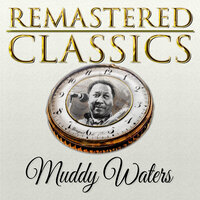 Rollin' and Tumblin' Pt 2 - Muddy Waters