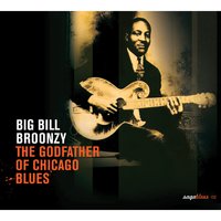 Getting Older Everyday - Big Bill Broonzy